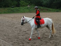 img_5748_web